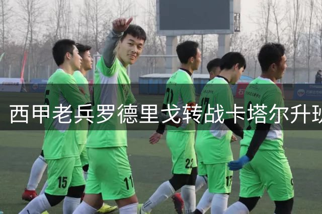 西甲老兵罗德里戈转战卡塔尔升班马 助力卢赛尔城星联赛处子秀